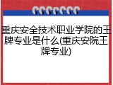 重庆安全技术职业学院的王牌专业是什么(重庆安院王牌专业)