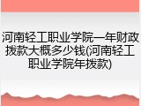 河南轻工职业学院一年财政拨款大概多少钱(河南轻工职业学院年拨款)