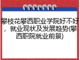 攀枝花攀西职业学院好不好，就业现状及发展趋势(攀西职院就业前景)