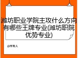 潍坊职业学院主攻什么方向有哪些王牌专业(潍坊职院优势专业)