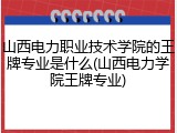 山西电力职业技术学院的王牌专业是什么(山西电力学院王牌专业)
