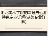 湖北美术学院的普通专业和特色专业详解(湖美专业详解)