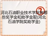 河北石油职业技术学院有哪些奖学金和助学金呢(河北石油学院奖助学金)