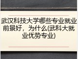 武汉科技大学哪些专业就业前景好，为什么(武科大就业优势专业)