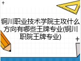 铜川职业技术学院主攻什么方向有哪些王牌专业(铜川职院王牌专业)