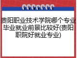 贵阳职业技术学院哪个专业毕业就业前景比较好(贵阳职院好就业专业)