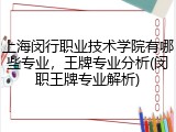 上海闵行职业技术学院有哪些专业,王牌专业分析(闵职王牌专业解析)