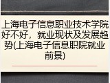 上海电子信息职业技术学院好不好，就业现状及发展趋势(上海电子信息职院就业前景)