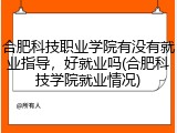 合肥科技职业学院有没有就业指导，好就业吗(合肥科技学院就业情况)