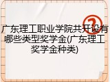 广东理工职业学院共开设有哪些类型奖学金(广东理工奖学金种类)