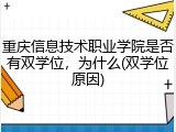 重庆信息技术职业学院是否有双学位，为什么(双学位原因)