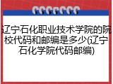 辽宁石化职业技术学院的院校代码和邮编是多少(辽宁石化学院代码邮编)