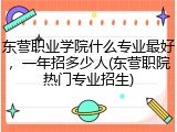 东营职业学院什么专业最好，一年招多少人(东营职院热门专业招生)