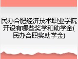 民办合肥经济技术职业学院开设有哪些奖学和助学金(民办合职奖助学金)
