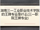 湖南三一工业职业技术学院的王牌专业是什么(三一职院王牌专业)