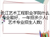 长江艺术工程职业学院什么专业最好，一年招多少人(艺术专业招生人数)