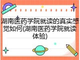 湖南医药学院就读的真实感觉如何(湖南医药学院就读体验)