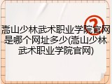嵩山少林武术职业学院官网是哪个网址多少(嵩山少林武术职业学院官网)