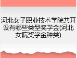 河北女子职业技术学院共开设有哪些类型奖学金(河北女院奖学金种类)