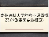 贵州医科大学的专业设置概况介绍(贵医专业概览)
