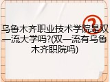乌鲁木齐职业技术学院是双一流大学吗?(双一流有乌鲁木齐职院吗)