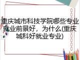 重庆城市科技学院哪些专业就业前景好，为什么(重庆城科好就业专业)