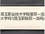 昆玉职业技术学院是双一流大学吗?(昆玉职院双一流吗)