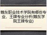 赣东职业技术学院有哪些专业，王牌专业分析(赣东学院王牌专业)