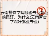 云南警官学院哪些专业就业前景好，为什么(云南警官学院好就业专业)