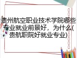 贵州航空职业技术学院哪些专业就业前景好，为什么(贵航职院好就业专业)