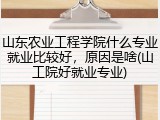 山东农业工程学院什么专业就业比较好，原因是啥(山工院好就业专业)