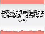 上海戏剧学院有哪些奖学金和助学金呢(上戏奖助学金类型)