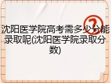 沈阳医学院高考需多少分能录取呢(沈阳医学院录取分数)