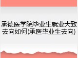 承德医学院毕业生就业大致去向如何(承医毕业生去向)