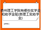 贵州理工学院有哪些奖学金和助学金呢(贵理工奖助学金)