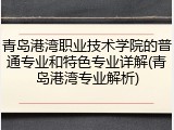 青岛港湾职业技术学院的普通专业和特色专业详解(青岛港湾专业解析)