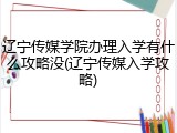 辽宁传媒学院办理入学有什么攻略没(辽宁传媒入学攻略)