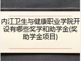 内江卫生与健康职业学院开设有哪些奖学和助学金(奖助学金项目)