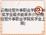 云南经贸外事职业学院一年奖学金最多能拿多少(云南经贸外事职业学院奖学金上限)