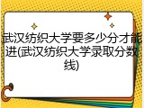 武汉纺织大学要多少分才能进(武汉纺织大学录取分数线)