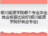 银川能源学院哪个专业毕业就业前景比较好(银川能源学院好就业专业)