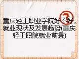 重庆轻工职业学院好不好，就业现状及发展趋势(重庆轻工职院就业前景)