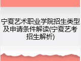 宁夏艺术职业学院招生类型及申请条件解读(宁夏艺考招生解析)