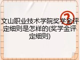 文山职业技术学院奖学金评定细则是怎样的(奖学金评定细则)