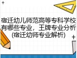 宿迁幼儿师范高等专科学校有哪些专业，王牌专业分析(宿迁幼师专业解析)