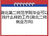 湖北第二师范学院毕业可以找什么样的工作(湖北二师就业方向)