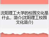 沈阳理工大学的校园文化是什么，简介(沈阳理工校园文化简介)