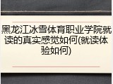 黑龙江冰雪体育职业学院就读的真实感觉如何(就读体验如何)