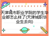 天津城市职业学院的学生毕业都怎么样了(天津城职毕业生去向)