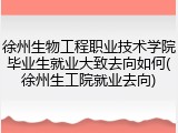 徐州生物工程职业技术学院毕业生就业大致去向如何(徐州生工院就业去向)